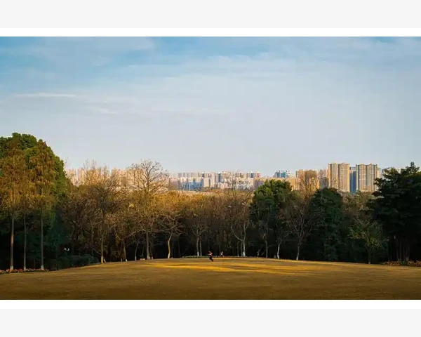 MT4回测结果查看全流程详解
