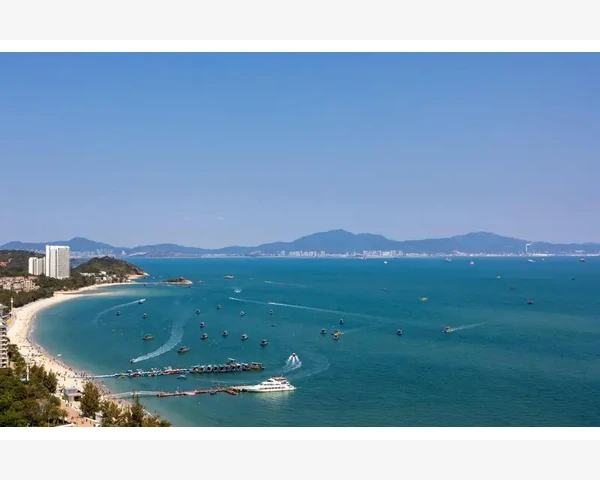 MT4电脑版消息通知管理技巧让交易提醒更高效_通过帮助菜单查看版本详情