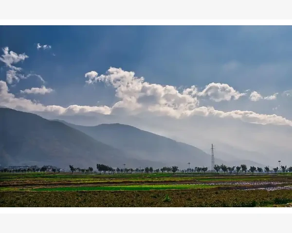 MT4电脑版消息通知管理技巧让交易提醒更高效_建模方式的选择直接决定回测可信度