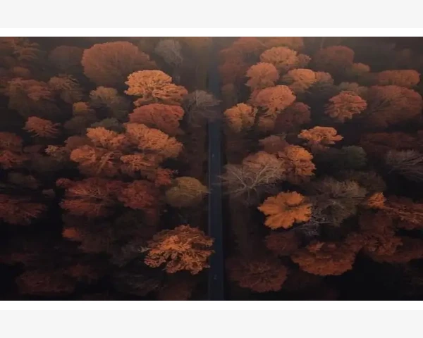 MT4电脑版安装报错原因排查与处理办法_技术指标与画线工具的日常维护