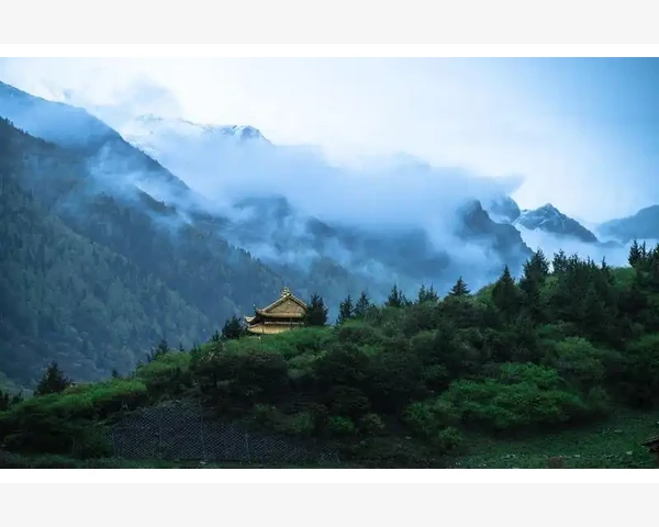 MT4图表四大核心工具助你读懂价格走势