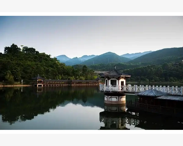 MT4模拟盘练手挺好但跟实盘总差那么点意思_实际应用中的判断技巧与常见误区