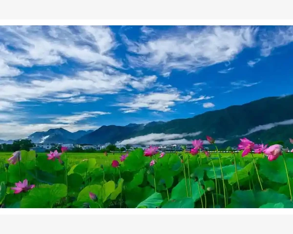 不同平台MT4同机共存安装配置全解_MT4多平台共存的底层逻辑